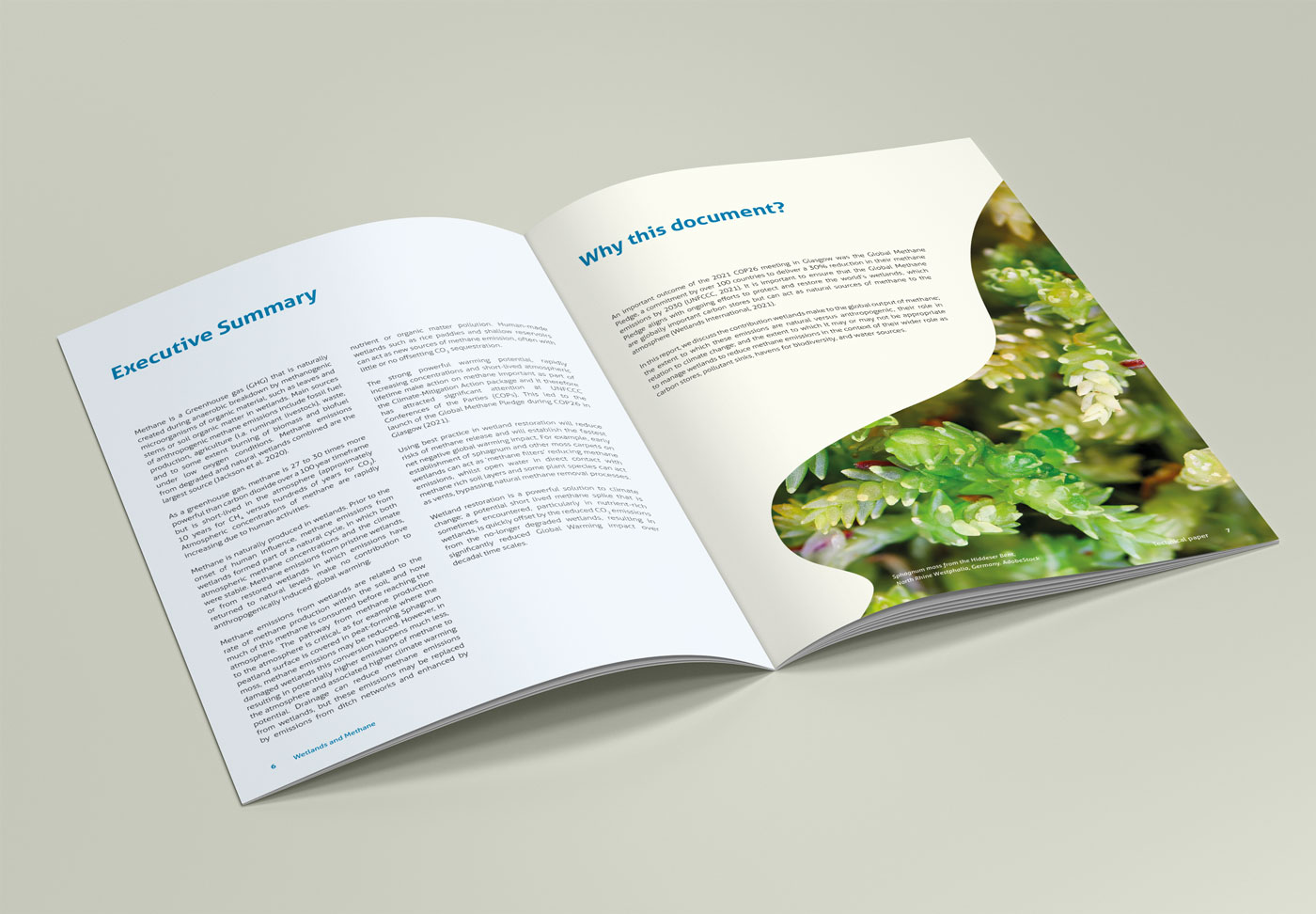 Jaarverslag ontwerpen door een freelance grafisch vormgever